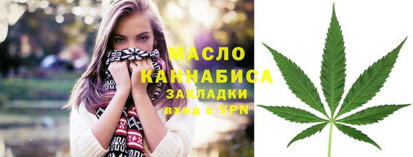 мдпв Гусь-Хрустальный