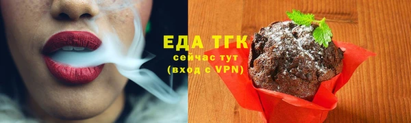 мдпв Гусь-Хрустальный