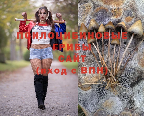 амф Медногорск