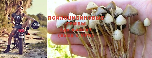 амф Медногорск
