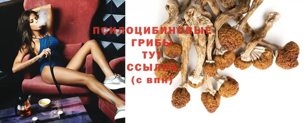 СК Мегион