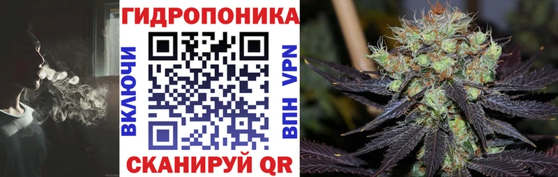 Конопля конопля  Долинск 